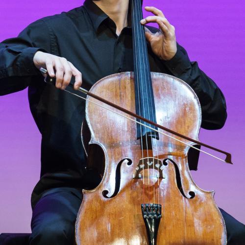 Close-up photo of a celloist